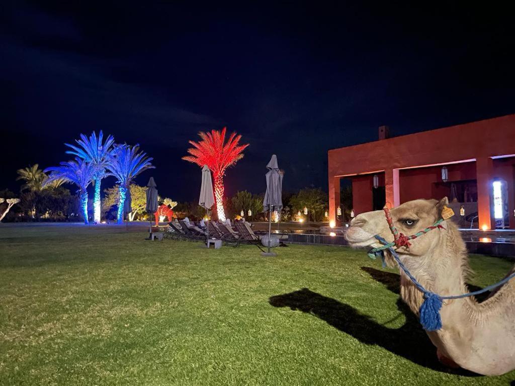 Dar Noujoum Hotel Ait Bou Zguia Bagian luar foto
